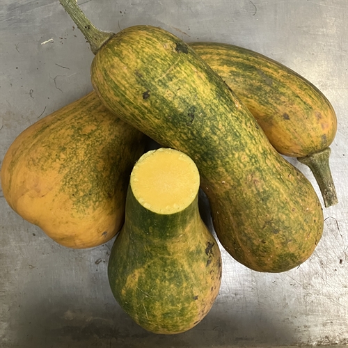 Centercut squash